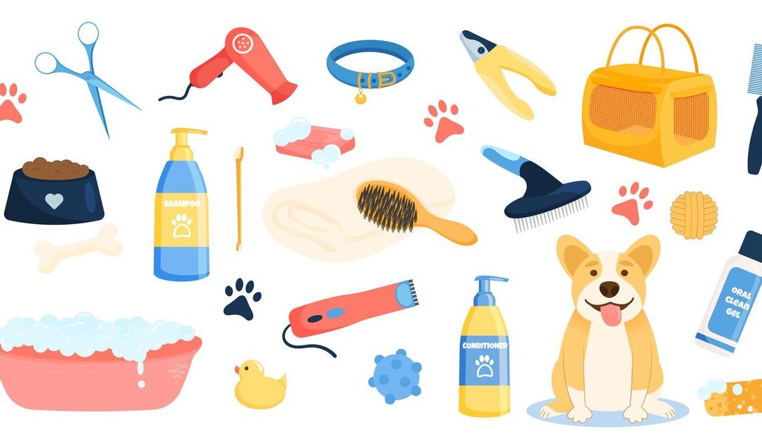 DIY Toilettage des chiens : Un guide complet des outils du métier